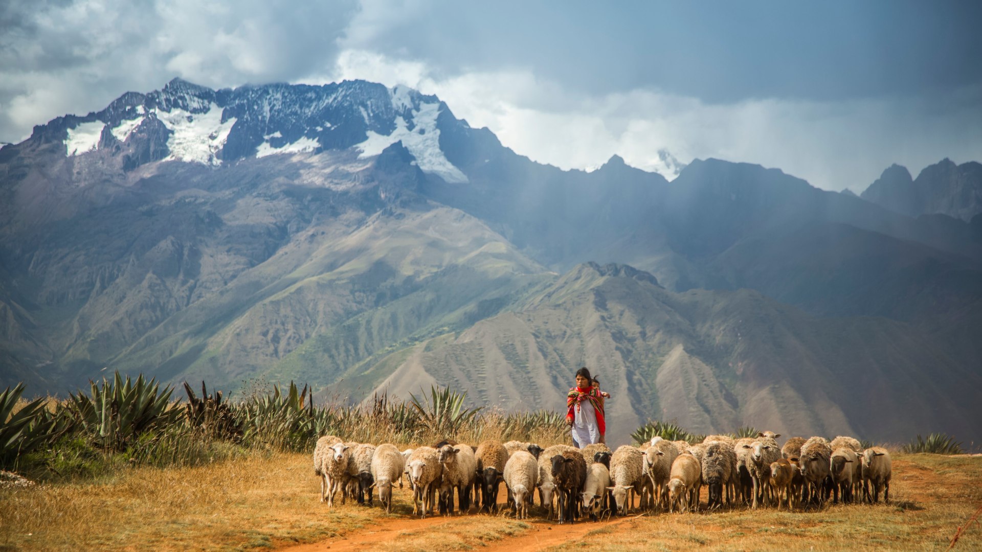 Geheimnisvolle Anden